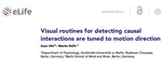 New paper on the perception of causality