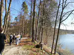 Joint retreat of rolfslab and mialab