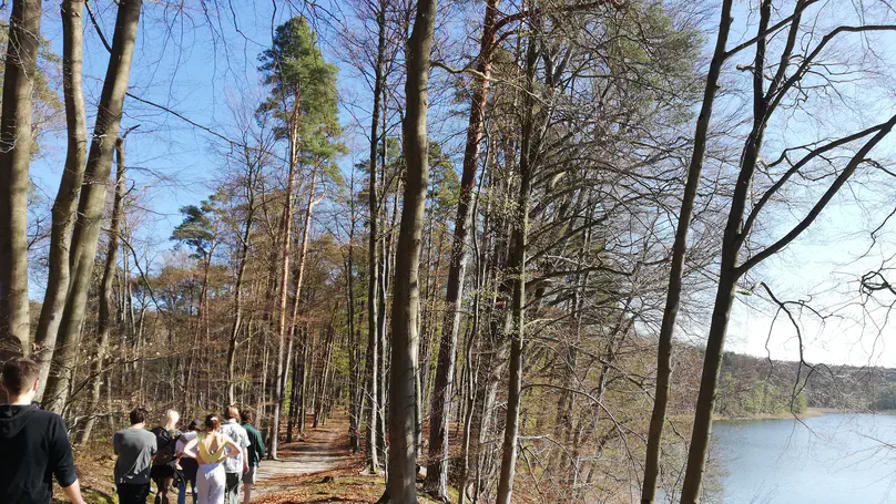 Joint retreat of rolfslab and mialab