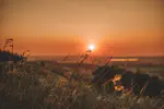 Summer comes to an end